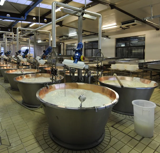 Quality Guarantee Hard Cheese Zarpellon Brand 19C600GR 1000G For Parmigiano Reggiano Grated Italian Cheese