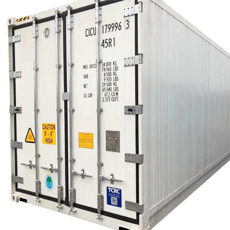 40 feet freezer container cold room for chicken meat