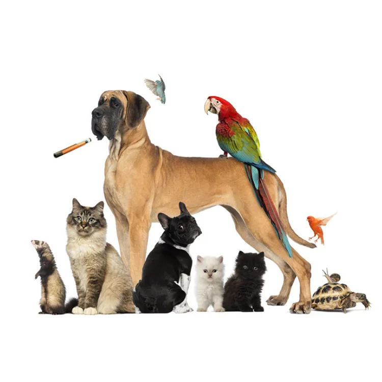 washable small mini rfid sticker micro chip nfc tag cattle 125khz rfid tags security