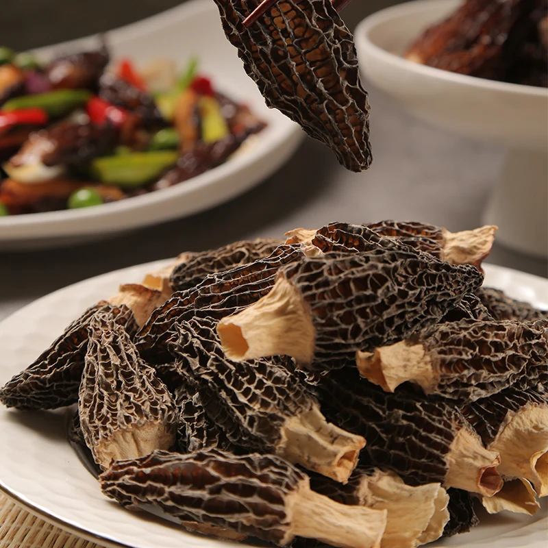 Mountain mushroom fresh morels dried morels high quality fungus delicious material with nice taste