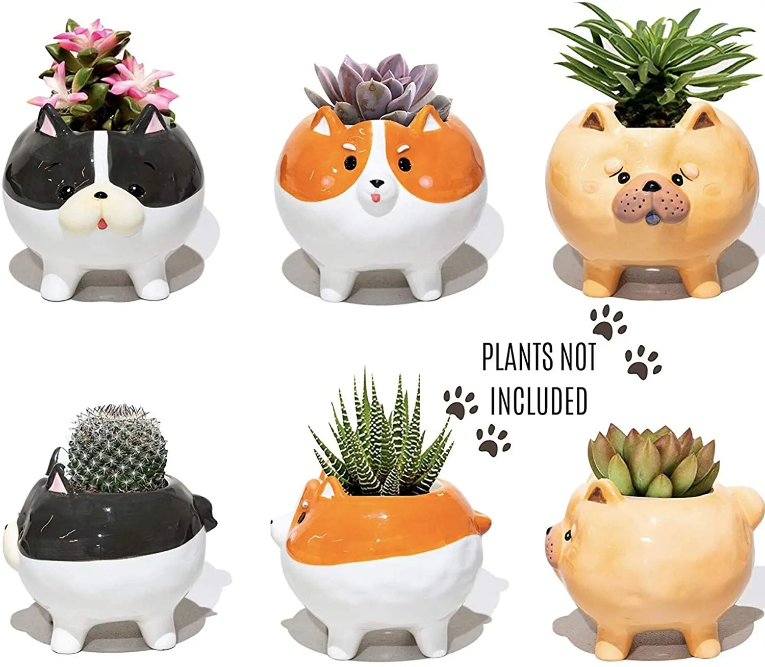 animal plater (7).jpg