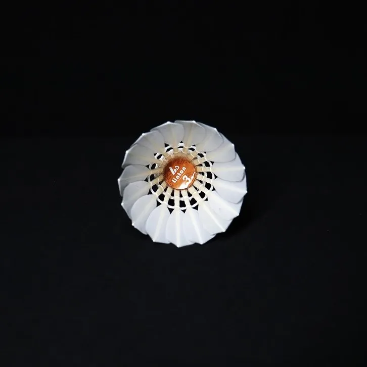 Popular Factory Sale Exercise Fitness Duck Feather Good Flight Badminton