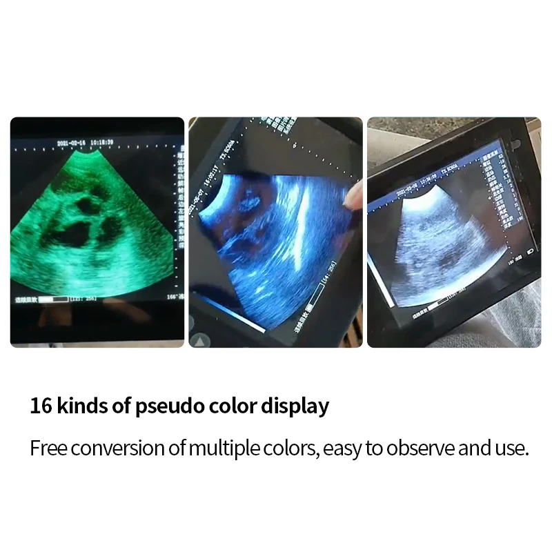 handle portable B-ultrasound machine for animals veterinary instrument veterinary ultrasound medical equipments