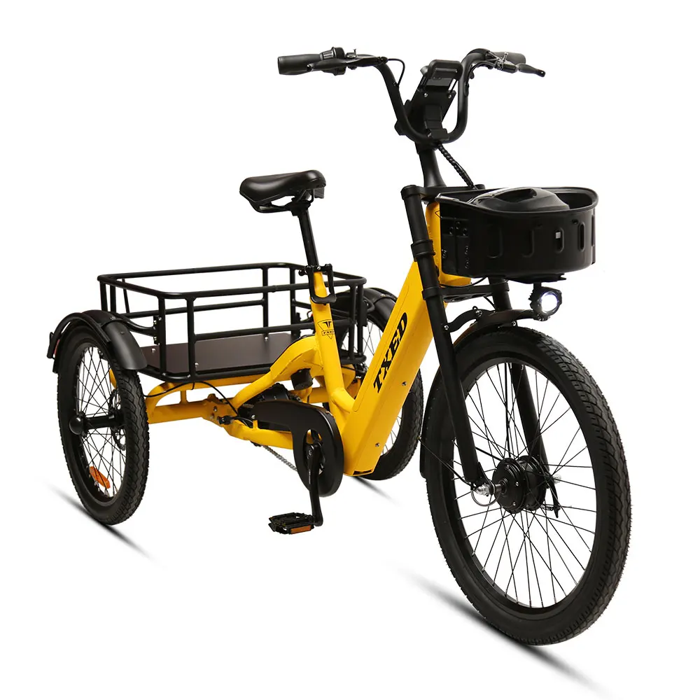 TXED 36V 250W Electric sharing cargo bike Single Speed Electric shared tricycle for adult