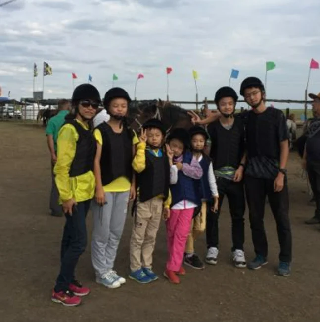 High quality horse riding helmet with removable moisture wicking For unisex equestrian outdoor sports