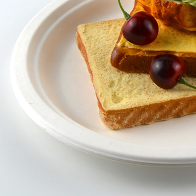 Food Grade Biodegradable Disposable Tableware Products Sugarcane Bagasse Plates