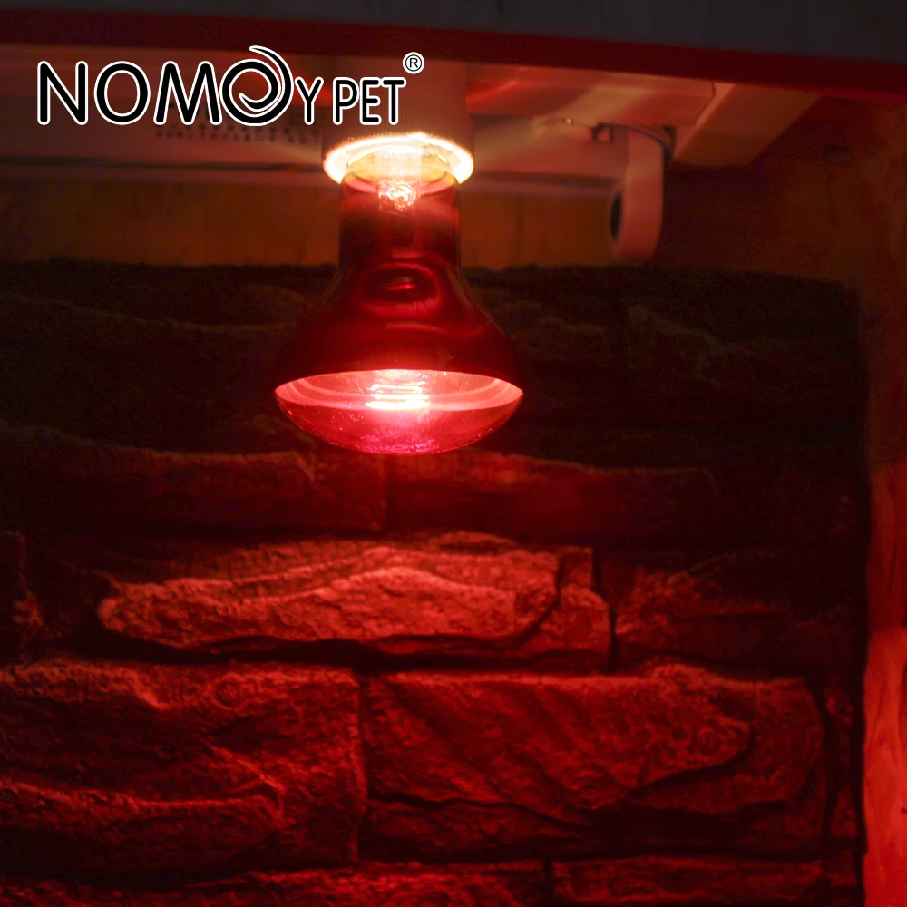 Nocturnal Infrared Red Reptile Heat Bulb Basking Spot Heating Light Lamp for Reptile Amphibian Turtle