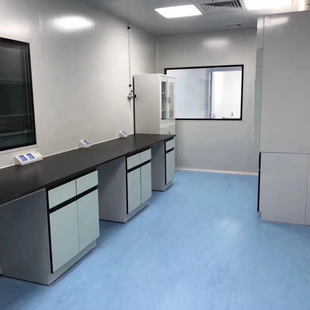 Professional Contractor Positive Pressure Clean Room Lab for Microbiological Testing Laboratory Clean Room