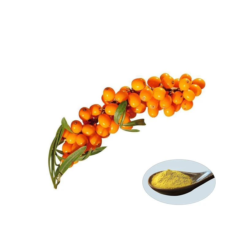 Plant extracts Hippophae rhamnoides and seabuckthorn fruit oil from China supplier