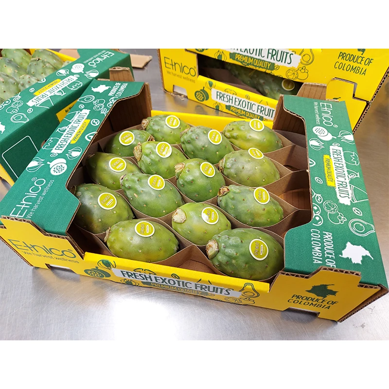 Fresh Exotic Fruit Cactus Fig Cactus Pear Pricky Pear from Colombia