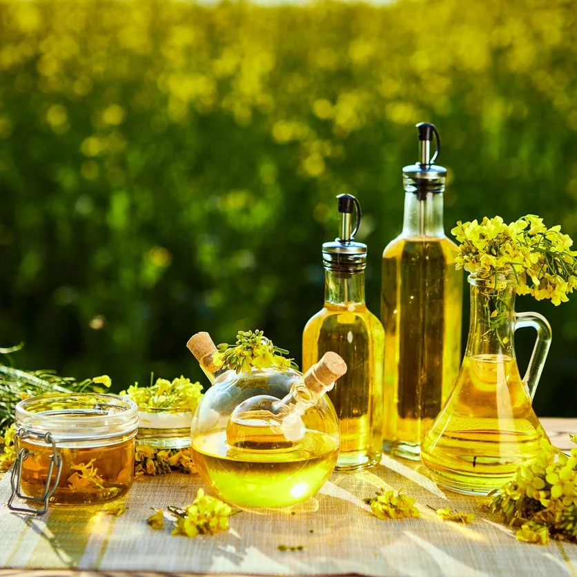 100% Natural Refined hot sale wholesale Rapeseed Oil