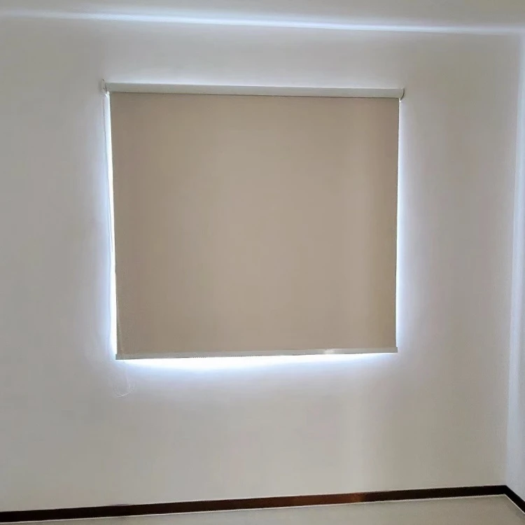 China Manufacturer Motorized Roller Blinds Home Smart Remote Control  Roller Window Blinds Automatic Intelligent Roller Curtains