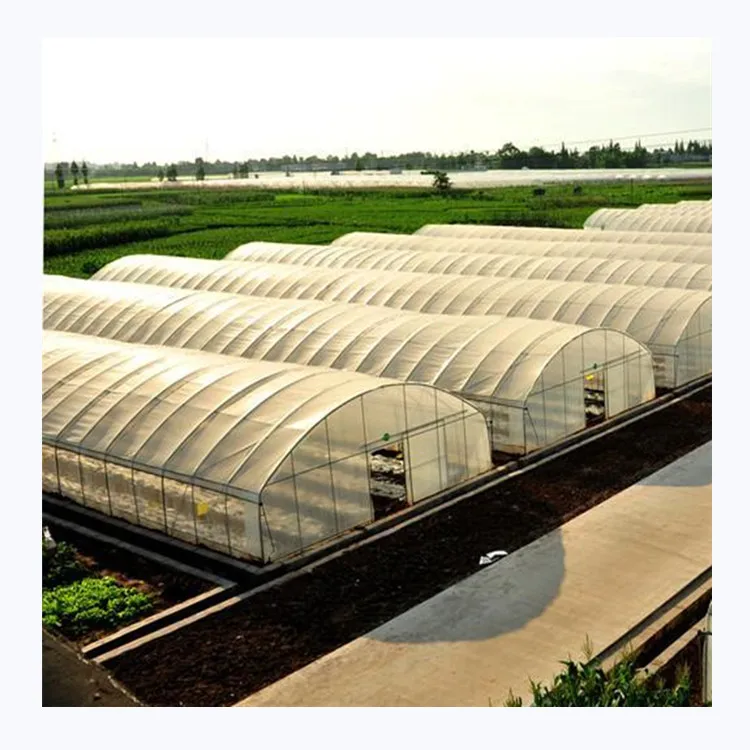 Industrial Hemp Greenhouse Pipe Agricultural Single Span Tunnel Film Polycarbonate Green House Greenhouse