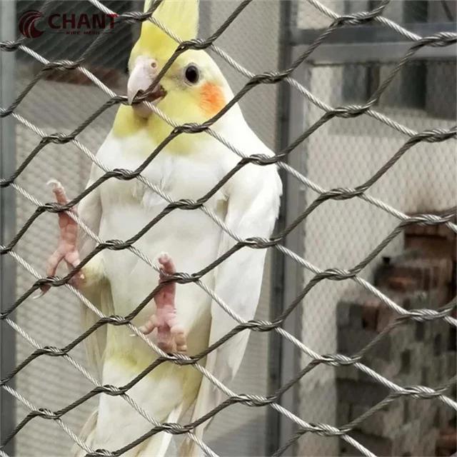 Customized 4m*10m High Quality Ultrasonic Bath SS Wire Rope Zoo Mesh Tiger Fencing Flexible Light Weight