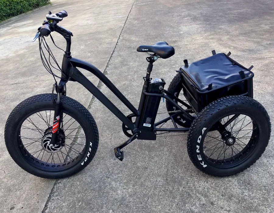 48v 500w 750w переднего приводного двигателя двигатель переменного тока 3 колеса жира шин грузовых трициклов Электрический трехколесный электрический велосипед способный преодолевать Броды для человек