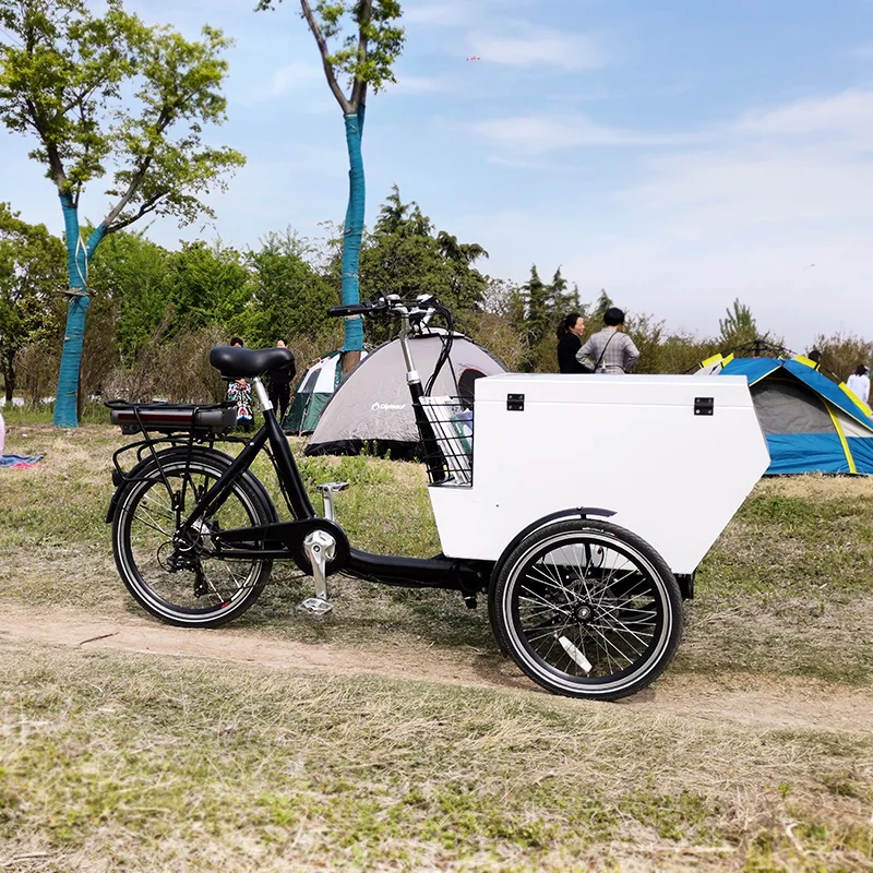 cargo bike electric front loading cargo bike 3 wheel electric tricycle for delivery
