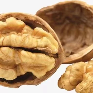 Factory Source Health Food Organic Paper Walnut Inner Shell Xinjiang Walnut 185 walnut