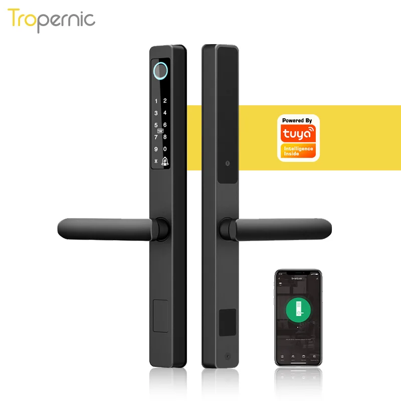 Высококачественная Водонепроницаемая цифровая биометрическая ручка со сканером отпечатков пальцев стеклянная дверь APP алюминиевый раздвижной смарт-замок для двери