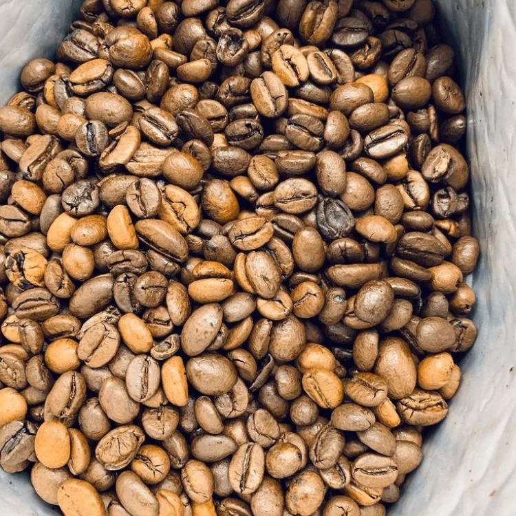 Boost Energy вьетнамский кофе горячий продавец утренний КОФЕ Robusta в зернах пластиковый пакет упаковка поставщик завод