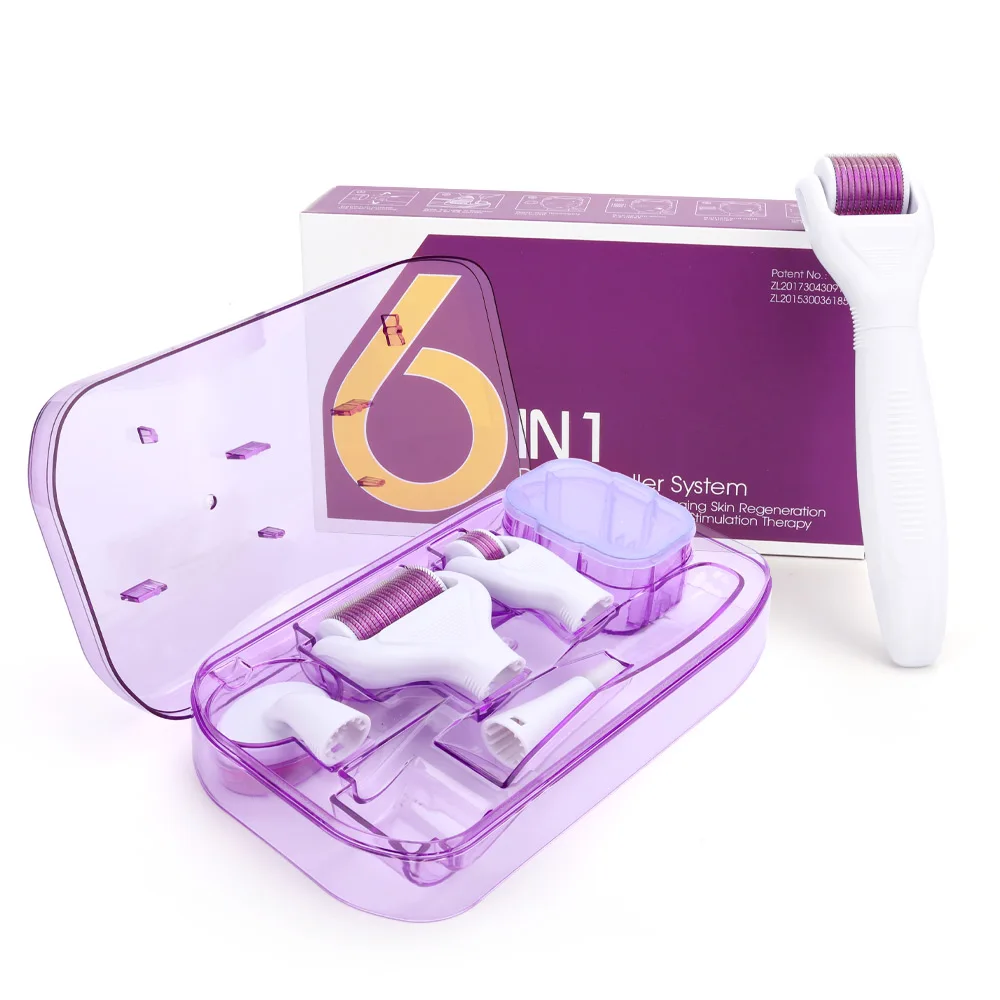 
Home Use Ce Certified Buy Stainless Titanium Microneedle DRS Dermaroller Skin Care Hair Face 6 in 1 Derma Roller Kit 