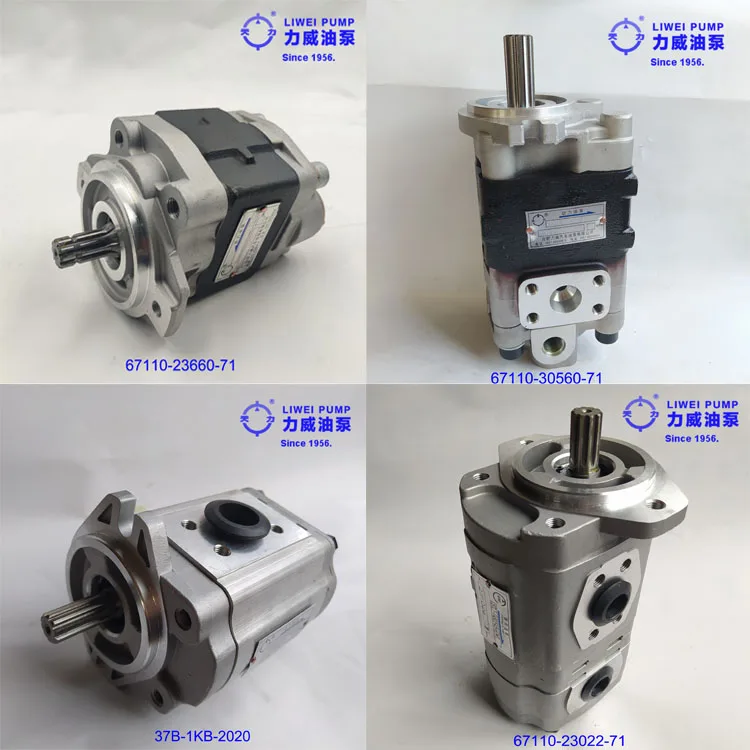 Since 1956 Forklift Spare Parts Hydraulic Pump for Nichiyun FB18P 31870-01500