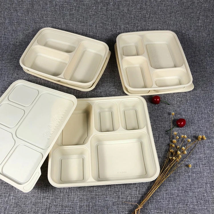 Takeaway Meal Prep Container Biodegradable Lunch Box With Lid Disposable Microwavable bagasse Lunch Box