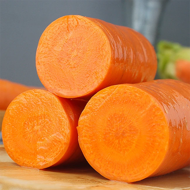 China Export Fresh Carrot 80-150g Cartons Low Price Shandong Xiamen Origin Chinese Fresh Vegetable Carrots