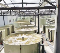 ras system tilapia fish egg incubators aquaculture equipment tanks for indoor fish farming system ras tilapia