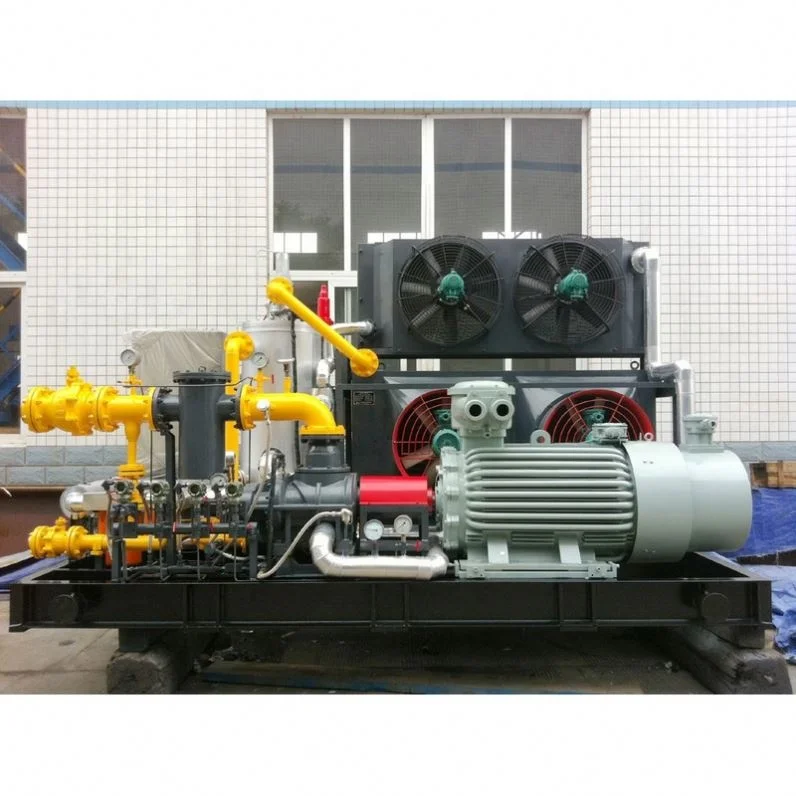 2022 Hot Selling Low Price Biogas Filling Station Air Compressor