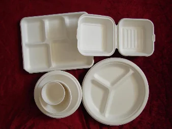 disposable paper pulp tableware/biodegradable food container