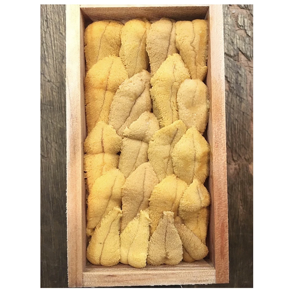 
Japan processed wholesale vacuum just-caught red fresh sea urchin 