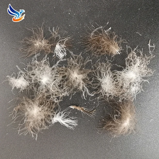  Wholesale Price Gray Professional And Practical Washable Goose Feather Down for Bed