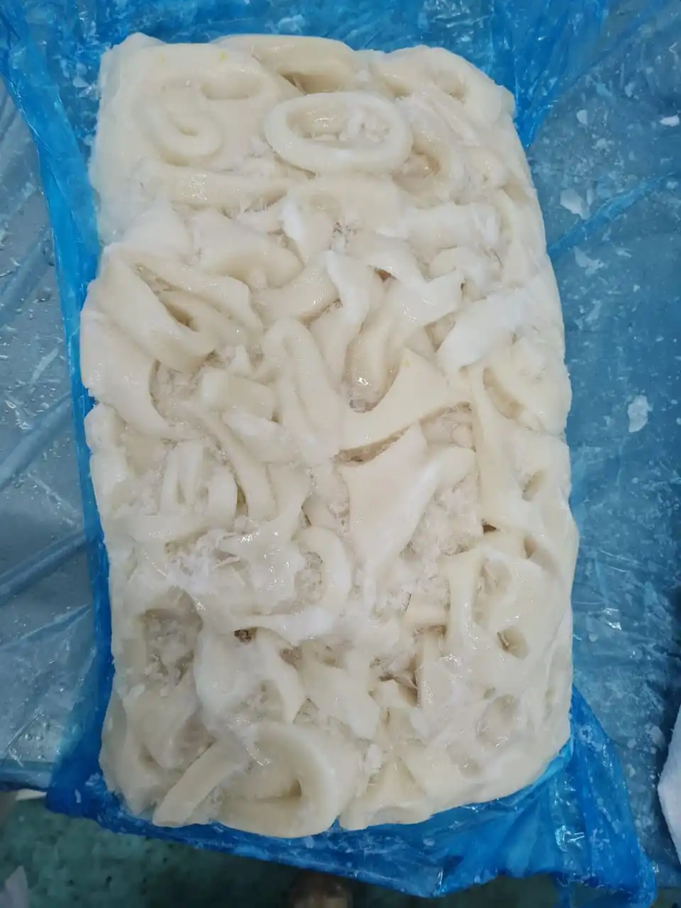 Frozen Giant Squid Meat Frozen Giant Squid Bits and Pieces