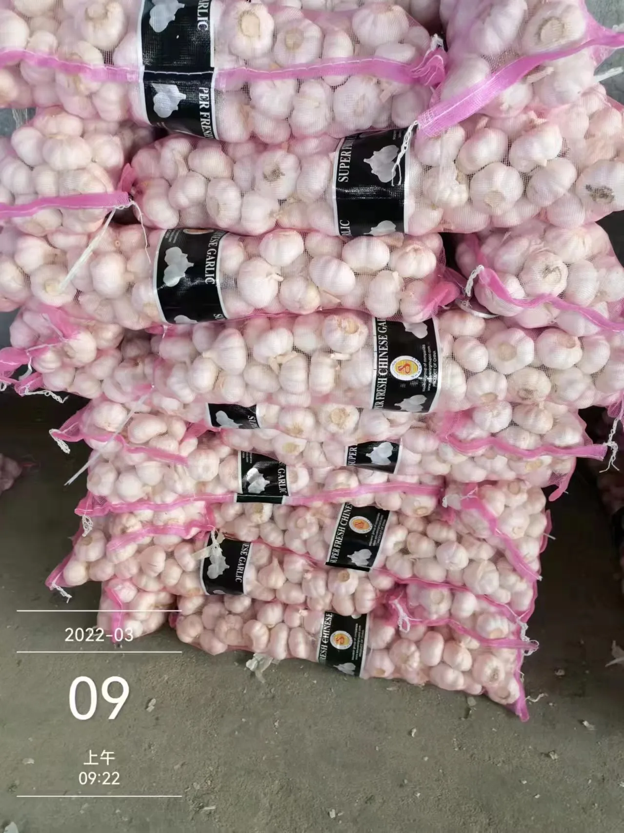 Китайский Низкая цена свежий чеснок белый пакет Урожай стиль время июня еда новейший цвет упаковка вес обычная сетка