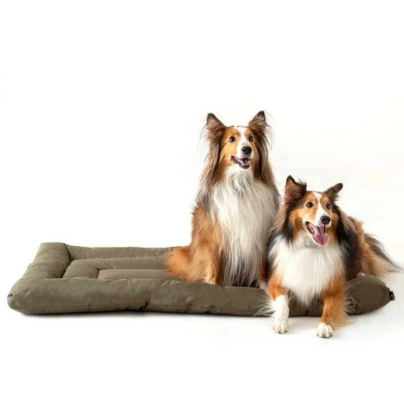 Водонепроницаемый водонепроницаемый коврик для собак