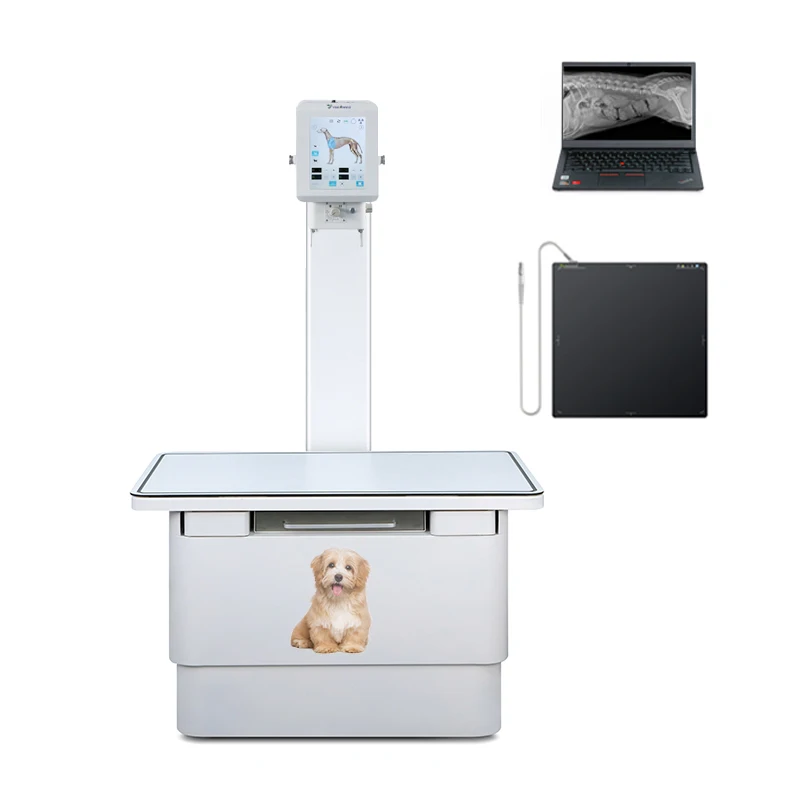 Ysenmed YSX100-PB 10kW veterinary X-ray machine vet dr digital x-ray radiography imaging systemportable x-ray for vets