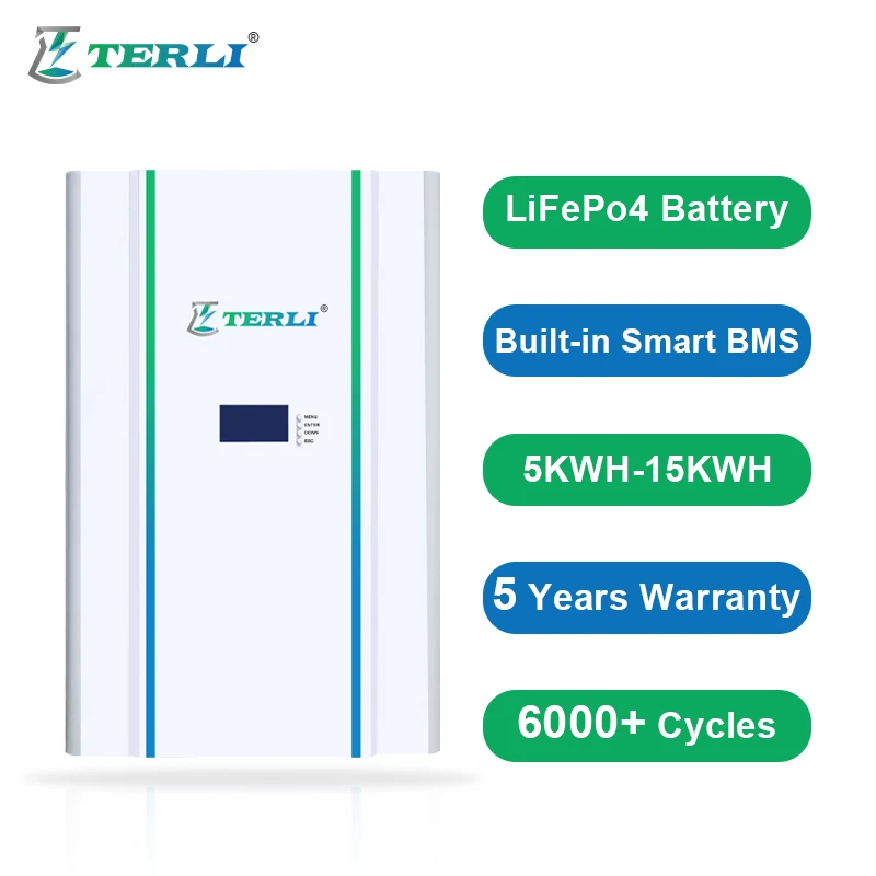 48v 100ah литиевая батарея 100 Ah Power Battery 50ah Lifepo4
