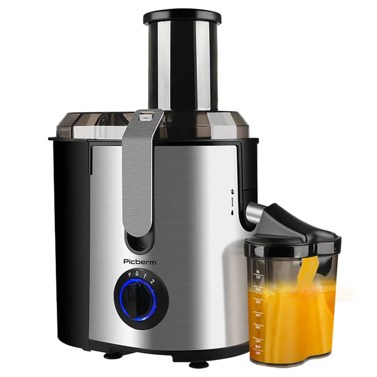 
MSF 500W apple lemon carrot juicer machine 