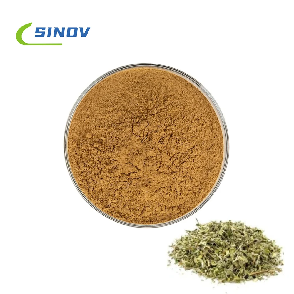 High Quality Plant Extract Damiana Leaf Extract Powder Damiana Extract Powder 10:1 20:1 Damiana For Man Health