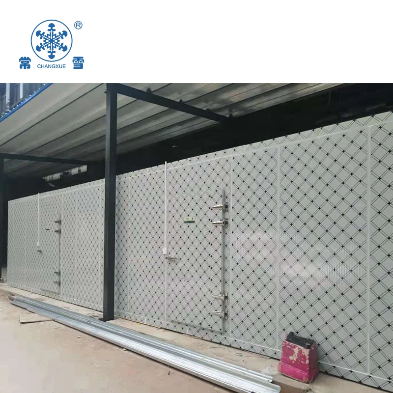 Banana cold storage with ripening machine with panels