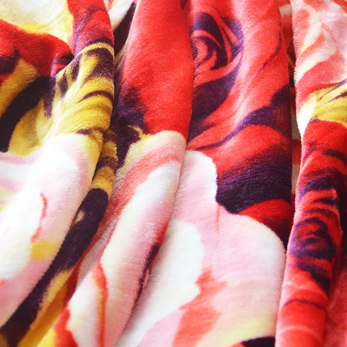 100% Polyester Design Double Printing 220*240 Flannel Blanket