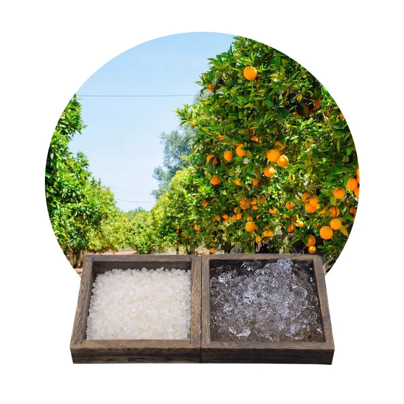 WELLDONE Poliacrilato De Potasio Water Absorbers Gel for Planting Trees Potassium Polyacrylate Hydrogel for Plants