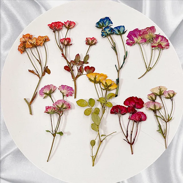 Натуральная роза прессованный цветок художественная Закладка поздравительная открытка Чехол для мобильного телефона Ароматерапия Свеча DIY аксессуары