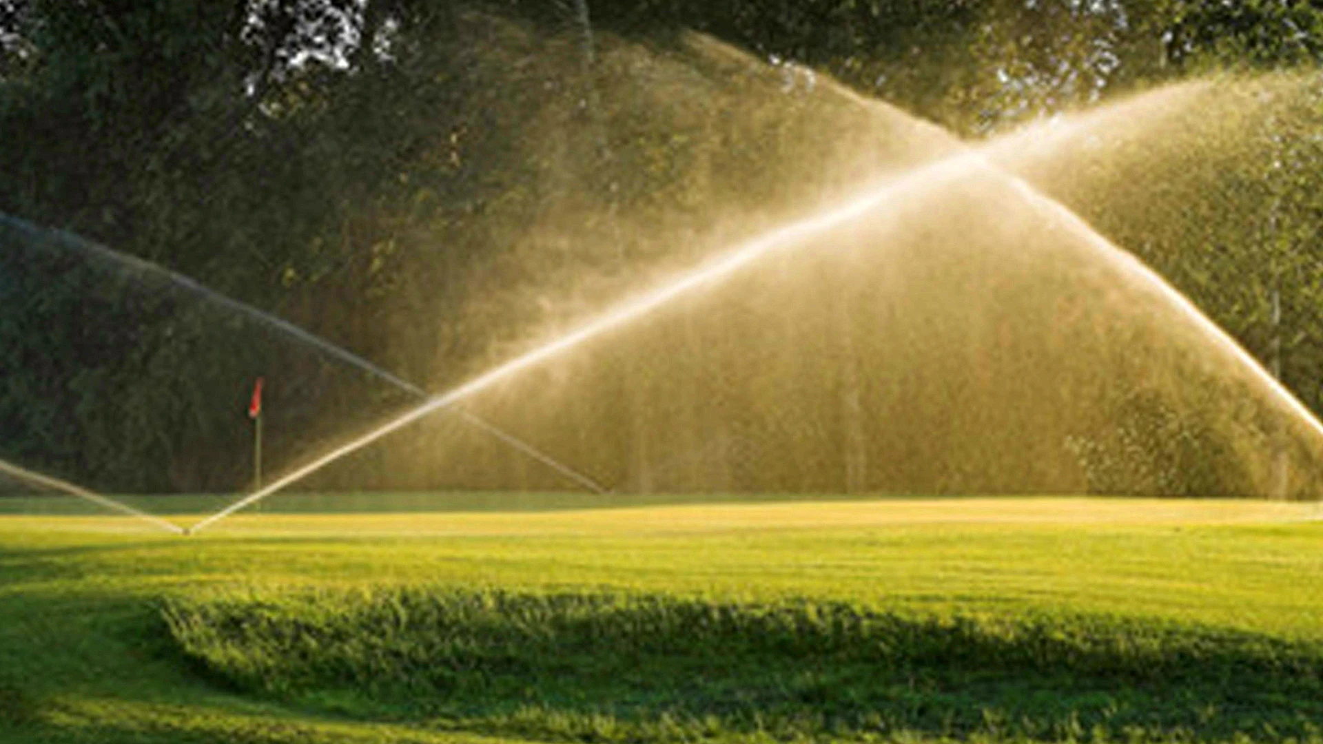 0.3 hp - 1.5 hp High Efficient Surface Pump Draw Water Dewatering Electric Pump BP-201