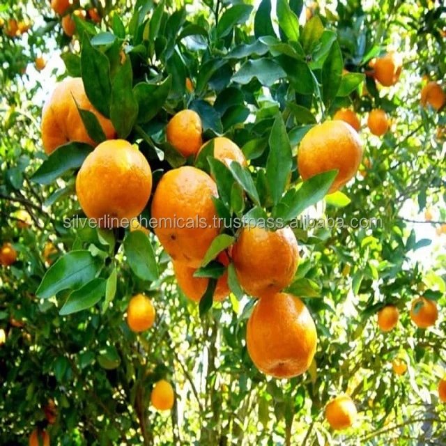 Natural Bergamot Oil