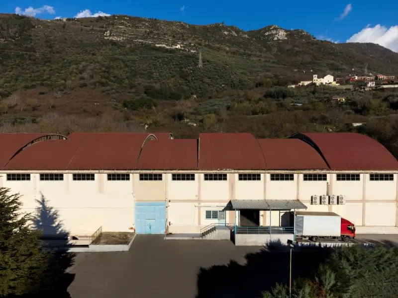 High Quality Blanched Dry Almonds 5kg Wholesale Vacuum Packed Hazelnuts for Food Use