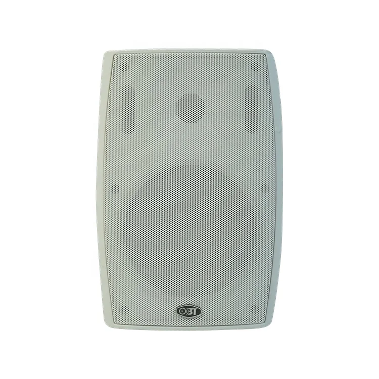 OBT-582 Wholesale 20w Small Speaker Midrange Loud Speaker Coaxial Passive Wall Mounted Speaker