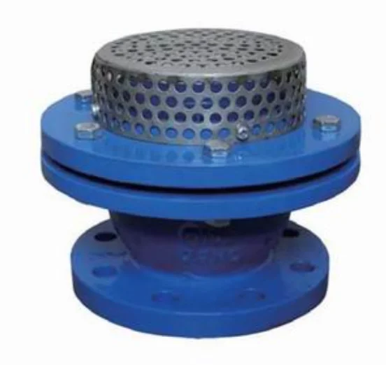 Foot Valves, PN10/PN16, Flanged