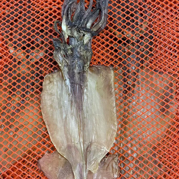 new season nutritious dried calamari squid whole manufacturer