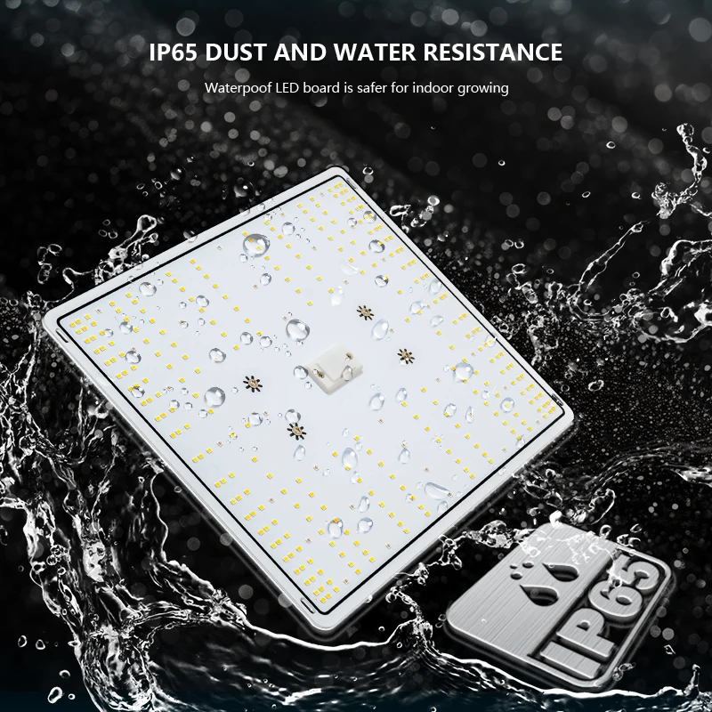 100W LM301H EVO LED Grow Light 3500K IR Full Spectrum Plant Grow Light For Flowers Vegetables Indoor and Outdoor